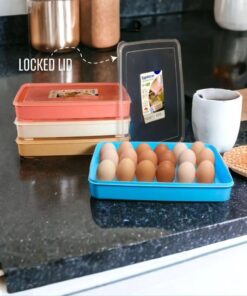 Egg Tray With Locked Lid 24 Holes
