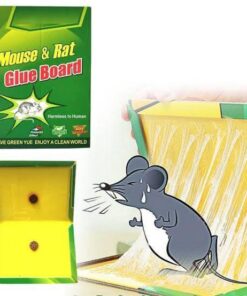 Mouse And Rat Glue Catch Trap