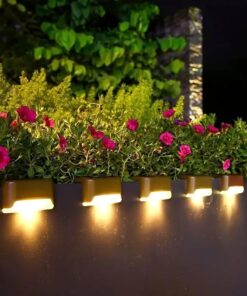 Solar outdoor light pack of 2