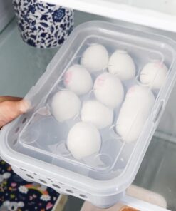 Egg Storage Box with 15 Grids Transparent Plastic Refrigerator Holder for Organized Kitchen Storage