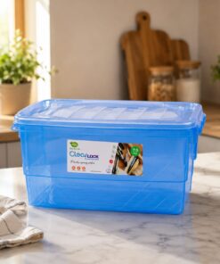 Clear Lock Storage Box Transparent